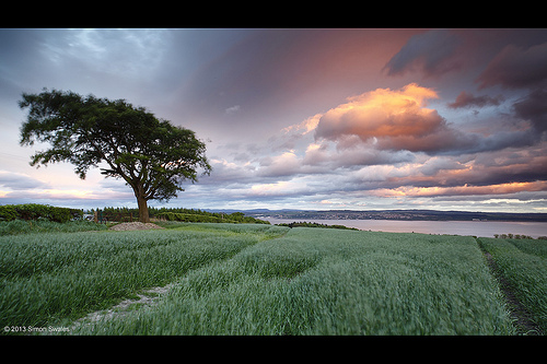 Gales at sunset