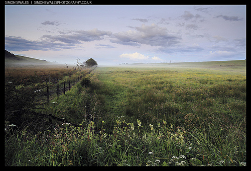 Into The Valley