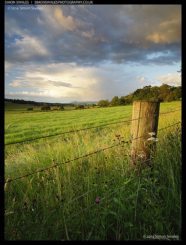 Powburn Glen